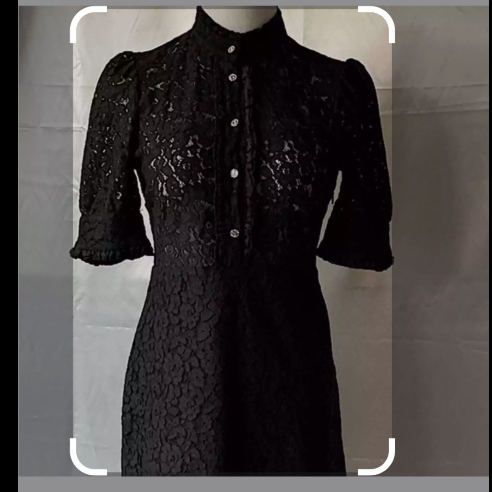 Zara lace dress with jewel buttons, mock neck and hidden side zipper~ Excellent!